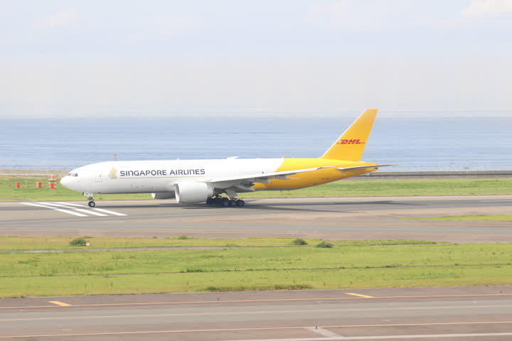 うほ・ゴリラが撮影した旅客機の写真 1