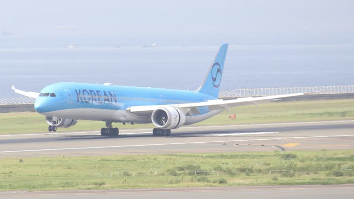 うほ・ゴリラが撮影した旅客機の写真 87