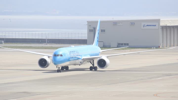 うほ・ゴリラが撮影した旅客機の写真 33