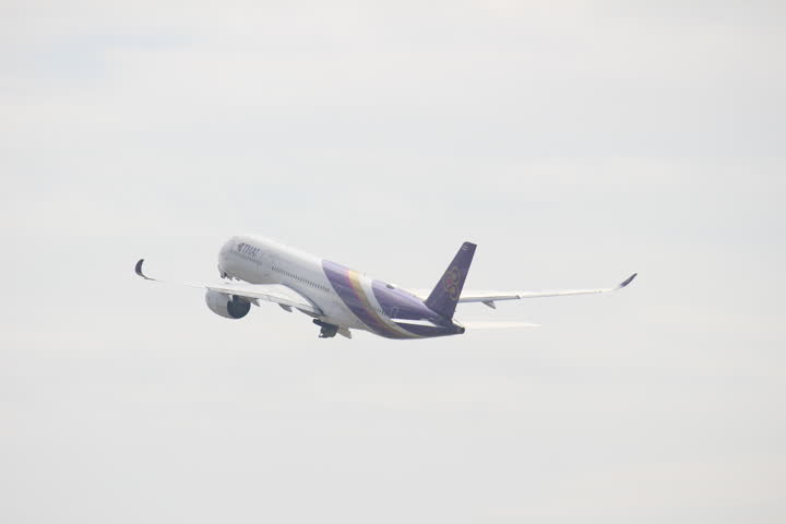 うほ・ゴリラが撮影した旅客機の写真 44