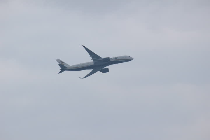 うほ・ゴリラが撮影した旅客機の写真 66