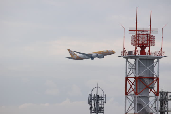 うほ・ゴリラが撮影した旅客機の写真 13