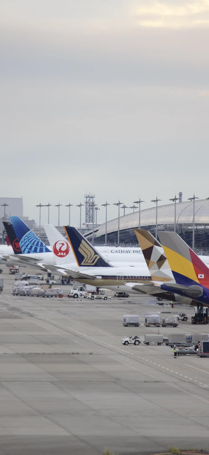 うほ・ゴリラが撮影した旅客機の写真 22