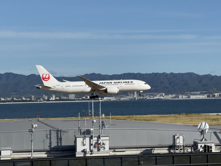 うほ・ゴリラが撮影した旅客機の写真 67