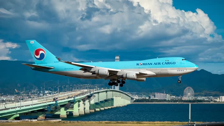 うほ・ゴリラが撮影した旅客機の写真 89