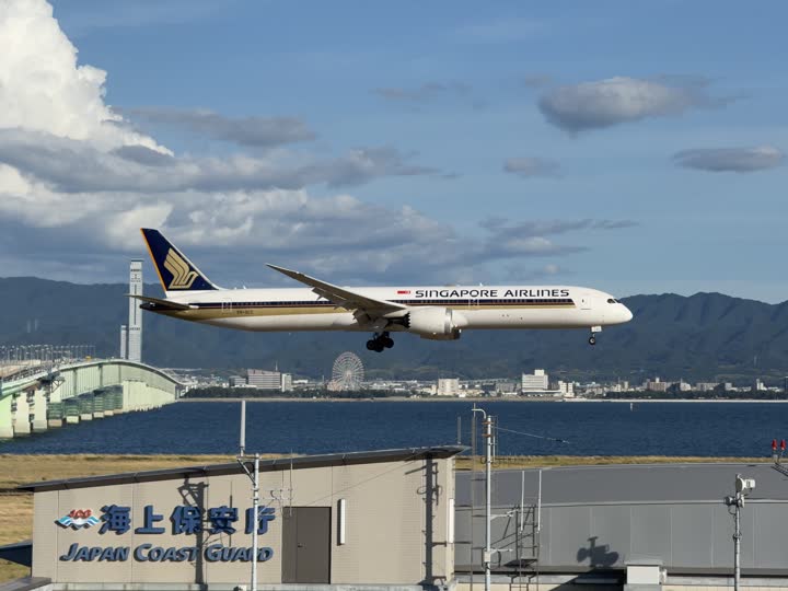 うほ・ゴリラが撮影した旅客機の写真 77