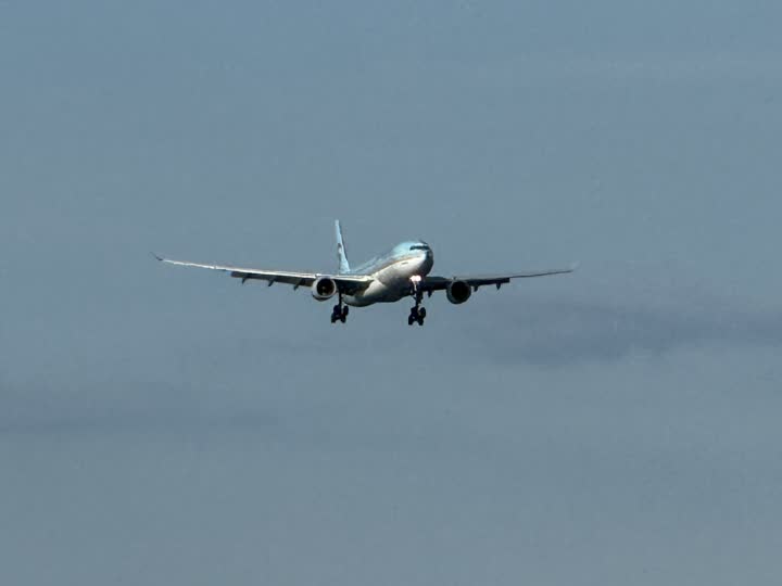うほ・ゴリラが撮影した旅客機の写真 3