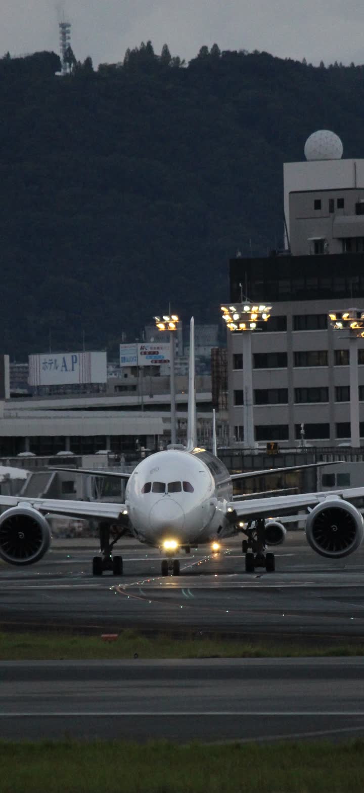 うほ・ゴリラが撮影した旅客機の写真 23