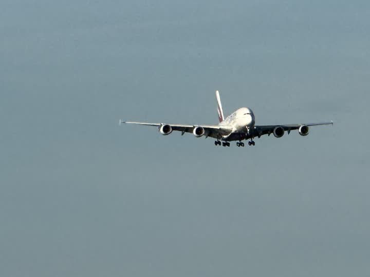 うほ・ゴリラが撮影した旅客機の写真 35