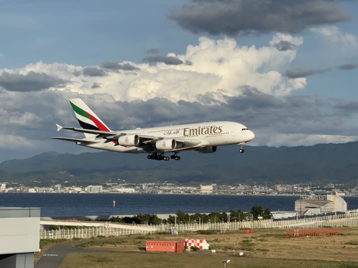 うほ・ゴリラが撮影した旅客機の写真 46
