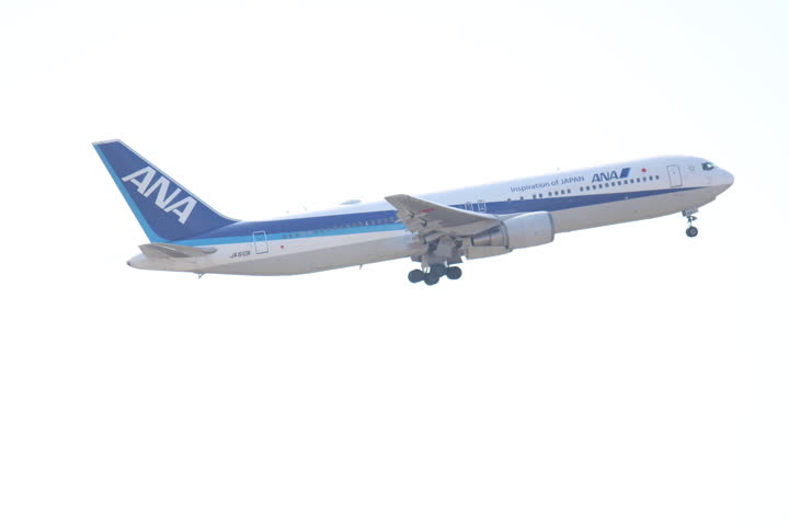 うほ・ゴリラが撮影した旅客機の写真 78