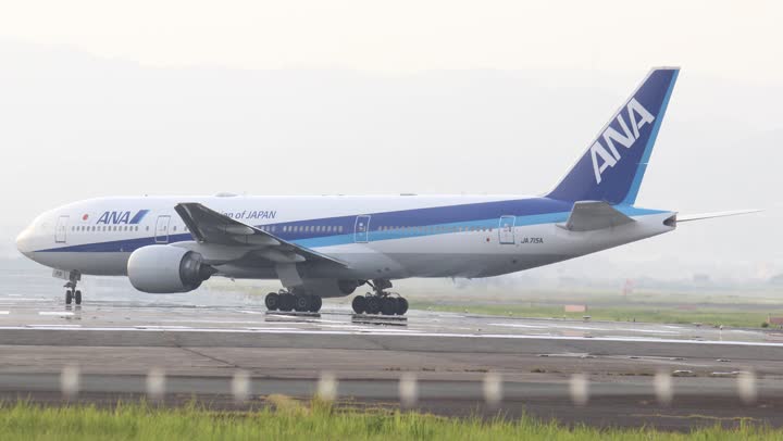 うほ・ゴリラが撮影した旅客機の写真 15