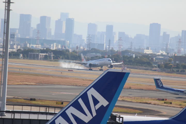 うほ・ゴリラが撮影した旅客機の写真 16