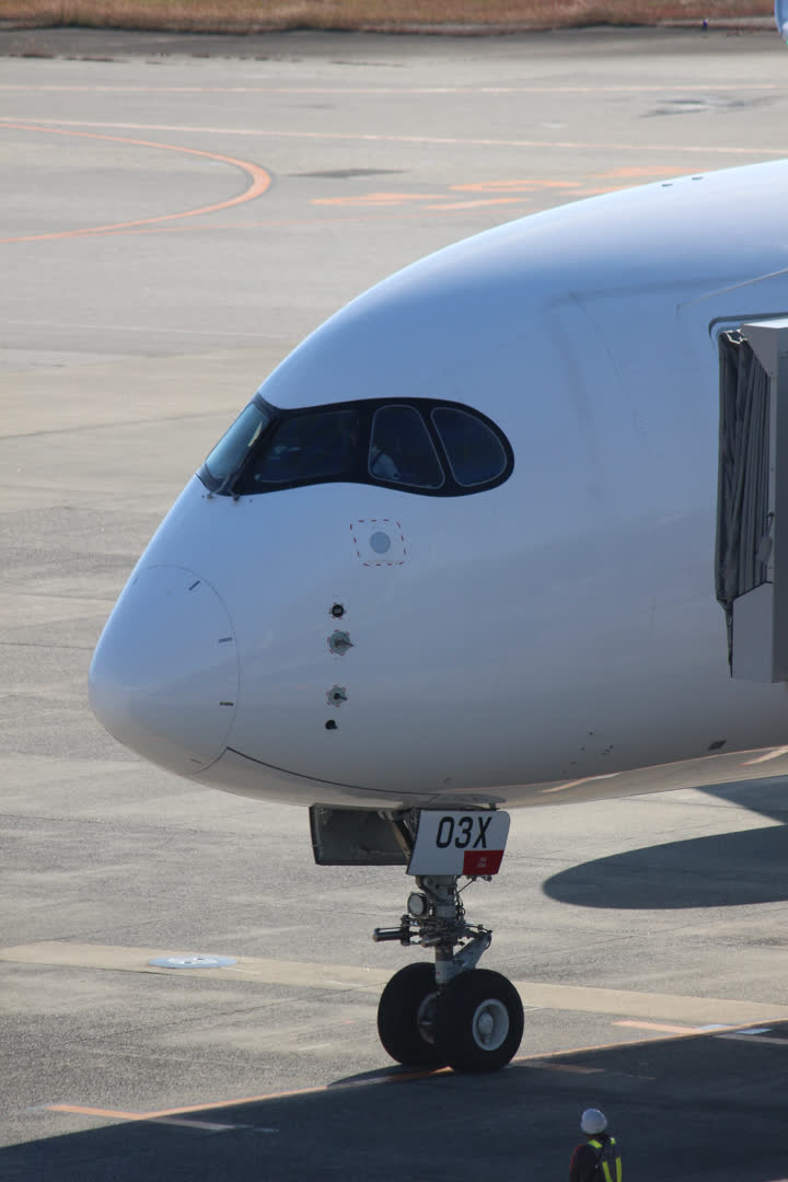 うほ・ゴリラが撮影した旅客機の写真 37