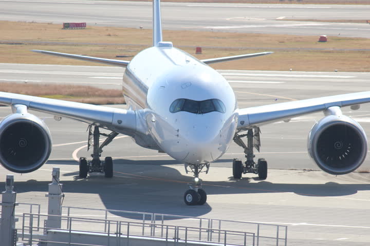 うほ・ゴリラが撮影した旅客機の写真 48