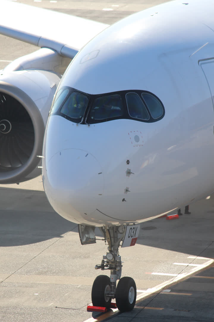 うほ・ゴリラが撮影した旅客機の写真 59