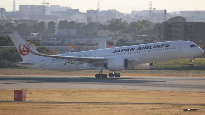 うほ・ゴリラが撮影した旅客機の写真 91