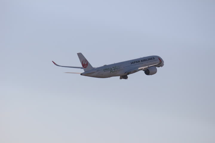 うほ・ゴリラが撮影した旅客機の写真 26