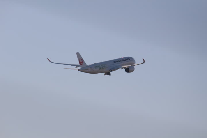 うほ・ゴリラが撮影した旅客機の写真 38