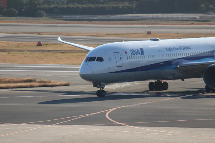うほ・ゴリラが撮影した旅客機の写真 49