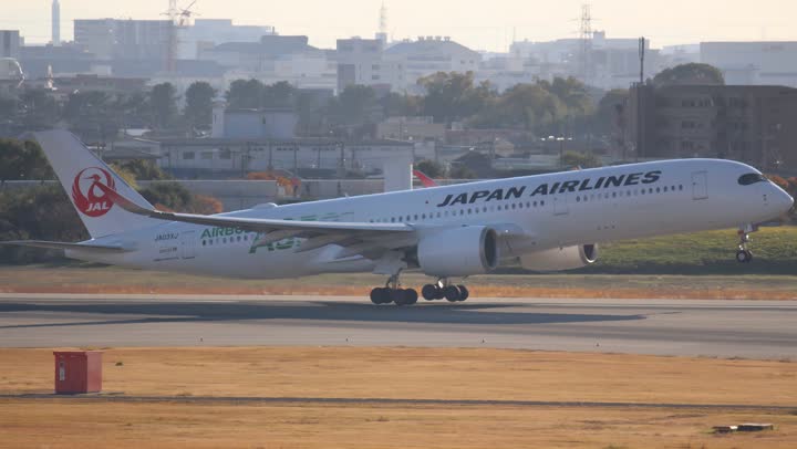 うほ・ゴリラが撮影した旅客機の写真 60