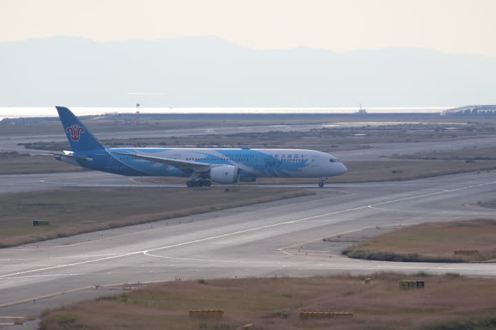 うほ・ゴリラが撮影した旅客機の写真 27