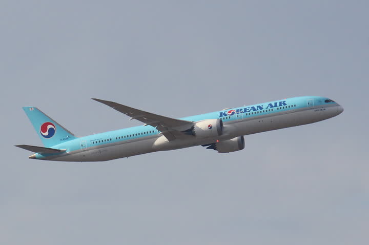 うほ・ゴリラが撮影した旅客機の写真 93
