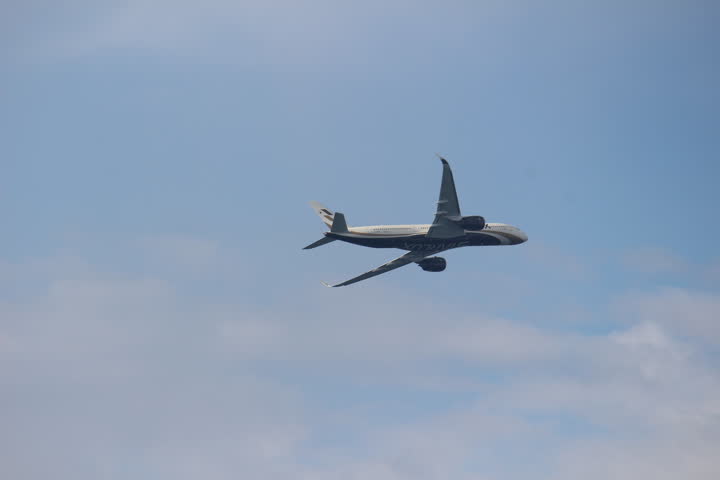 うほ・ゴリラが撮影した旅客機の写真 50