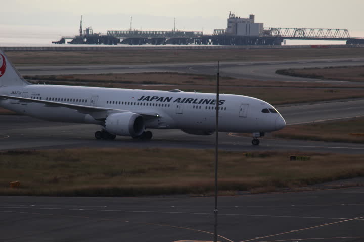 うほ・ゴリラが撮影した旅客機の写真 28