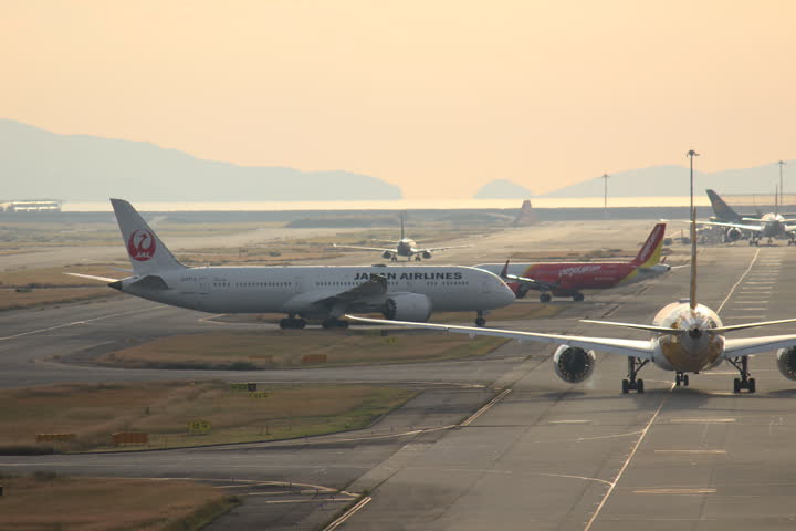 うほ・ゴリラが撮影した旅客機の写真 40