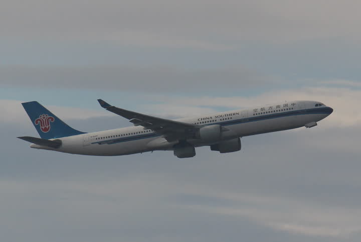 うほ・ゴリラが撮影した旅客機の写真 51