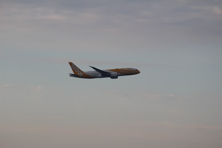 うほ・ゴリラが撮影した旅客機の写真 29