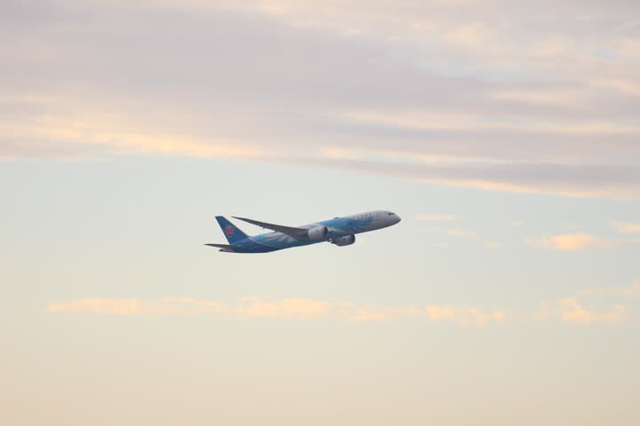 うほ・ゴリラが撮影した旅客機の写真 95