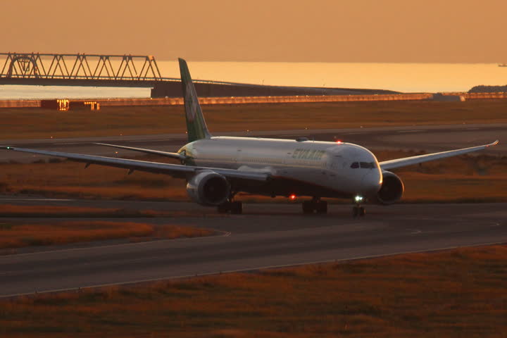 うほ・ゴリラが撮影した旅客機の写真 52