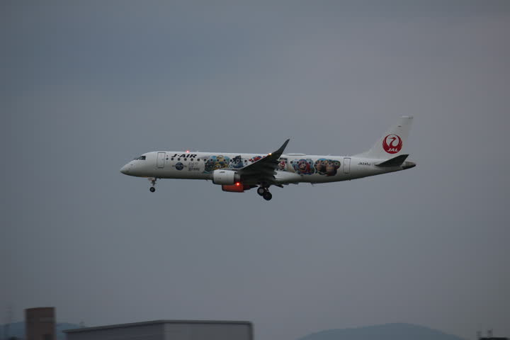 うほ・ゴリラが撮影した旅客機の写真 83