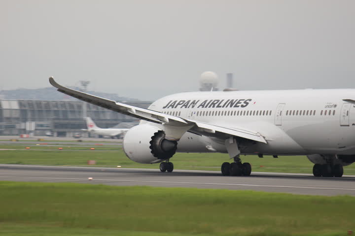 うほ・ゴリラが撮影した旅客機の写真 19