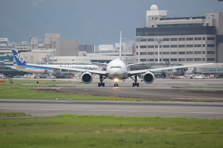 うほ・ゴリラが撮影した旅客機の写真 30