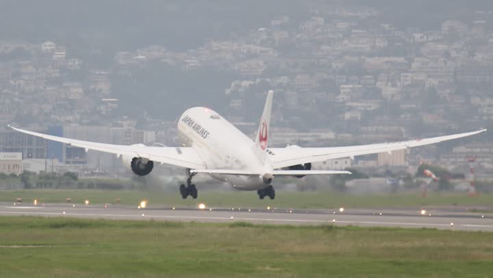 うほ・ゴリラが撮影した旅客機の写真 41