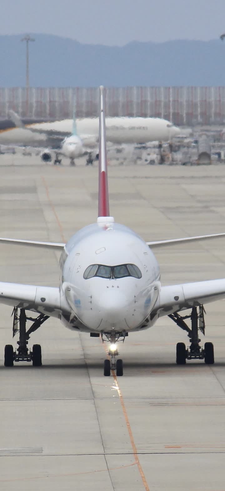 うほ・ゴリラが撮影した旅客機の写真 84