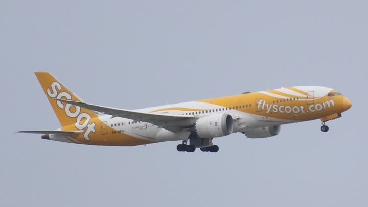 うほ・ゴリラが撮影した旅客機の写真 97
