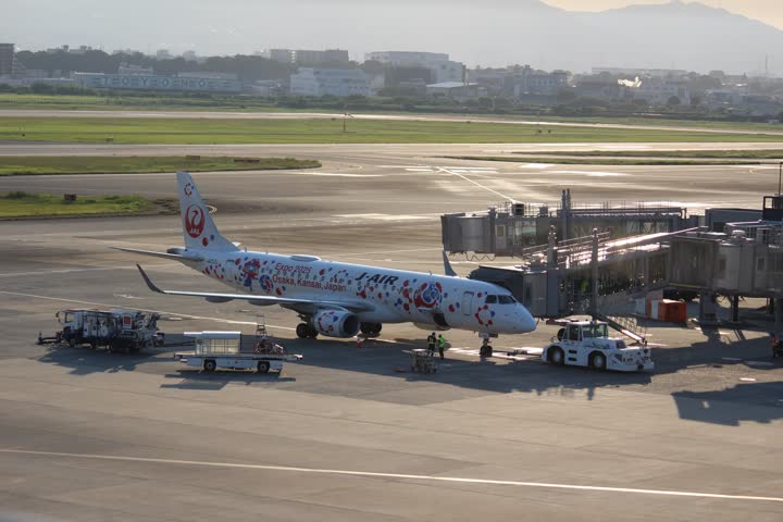 うほ・ゴリラが撮影した旅客機の写真 31