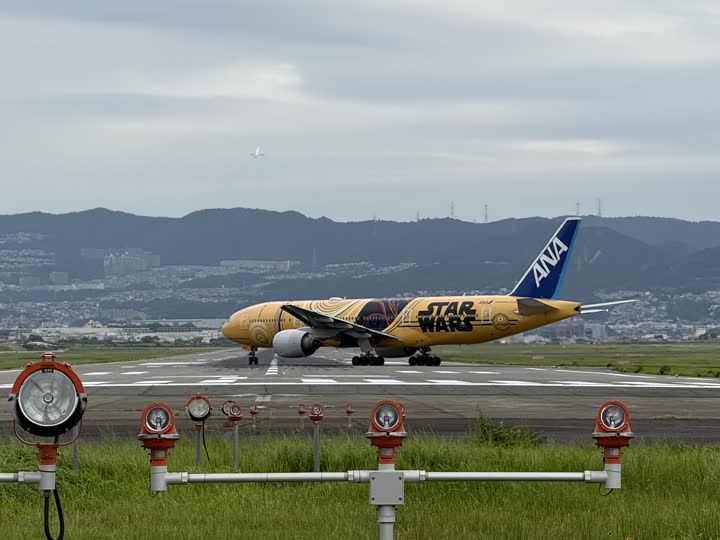 うほ・ゴリラが撮影した旅客機の写真 54