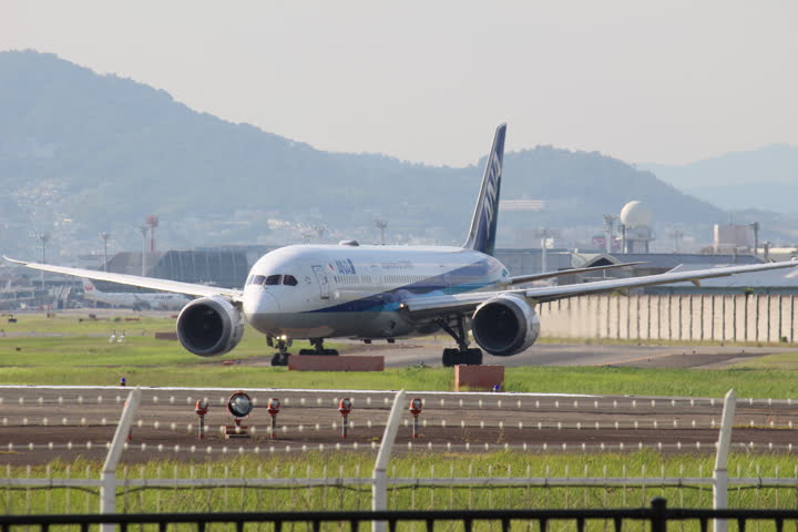 うほ・ゴリラが撮影した旅客機の写真 11