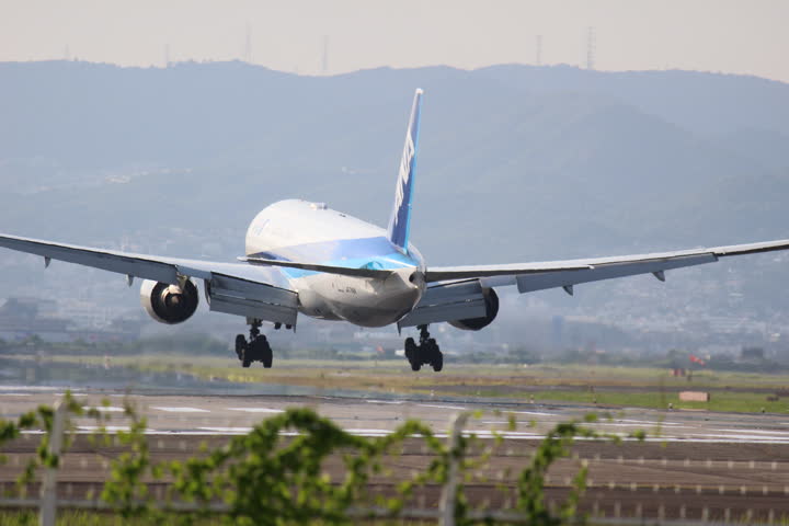 うほ・ゴリラが撮影した旅客機の写真 43
