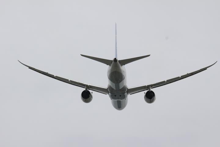 うほ・ゴリラが撮影した旅客機の写真 75